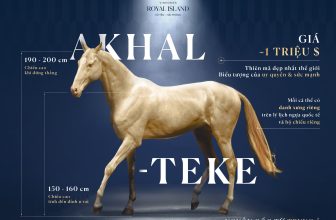 [🏙🇻🇳] Vinhomes là Công ty Kinh doanh và Quản lý bất động sản của Tập đoàn Vingroup  🏙️ Top1Land 🏠   LẦN ĐẦU TIÊN XUẤT HIỆN TẠI VIỆT NAM, AKHAL TEKE – GIỐNG NGỰA QUÝ HIẾM SẮP CÓ MẶT TẠI HỌC VIỆN CƯỠI NGỰA HOÀNG GIA VINHOMES ROYAL ISLANDNổi tiếng với vẻ… , shares-4✔️ , likes-22❤️️ , date-2024-04-12 23:22:15🇻🇳🇻🇳🇻🇳📰🆕