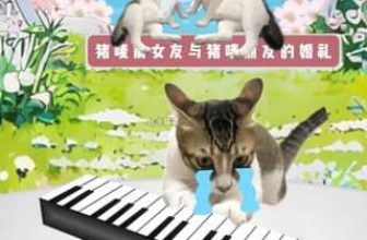 [🆕🇻🇳] Nu Pet – Yêu Thú Cưng 🐶🦜 Top1Pets 🐱🐠 Chúc elm hạnh phúc với lựa chọn của bản thân  Tạm biệt em #mylove #tinhyeudoianh #suy Wishing you happiness with your choice
#nupet
, shares-0✔️ , likes-0❤️️ , date-2024-07-02 15:08:25🐶🐱🇻🇳🇻🇳🇻🇳📰🆕