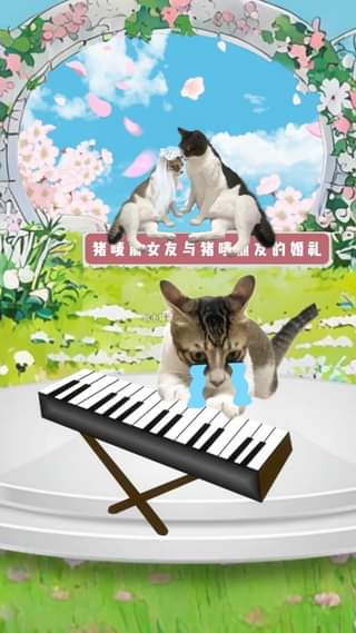 Chúc elm hạnh phúc với lựa chọn của bản thân Tạm biệt em #mylove #tinhyeudoianh #suy Wishing you happiness with your choice
#nupet