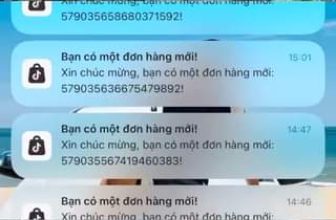 [🆕🇻🇳] Shop 2Gà Con HN-Đồ Sơ Sinh Trọn Gói 🧑‍🧒❤️️👶⭐️ Có tý ảnh hưởng của 7.7
Checkin cs1
, shares-0✔️ , likes-2❤️️ , date-2024-07-07 14:39:48🇻🇳🇻🇳🇻🇳📰🆕