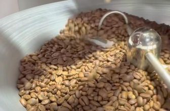 [☕️🇻🇳] Saigon Coffee Roastery 🥤 Top1Coffee ☕️ Rebooting ……..everything ! , shares-0✔️ , likes-0❤️️ , date-2024-06-12 17:22:25🇻🇳🇻🇳🇻🇳📰🆕