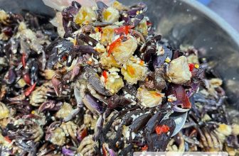 [🆕🇻🇳] BÀ NA FOOD – ĐẶC SẢN CÀ MAU 🍔 Top1Food 🍜 Ba khía to, chắc thịt nhiều gạch. Chính gốc Rạch Gốc nên ba khía thơm béo, gạch vàng rất ngon. Chỉ với #120k giao toàn quốc siêu nhanh. Ưu đãi mua 2 hũ đượ , shares-0✔️ , likes-42❤️️ , date-2024-05-08 21:57:58🇻🇳🇻🇳🇻🇳📰🆕