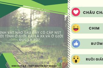 [🆕🇻🇳] SINH HỌC 4.0 – Thầy Nguyễn Duy Khánh 📚 Top1Learn 📕 [ Mỗi ngày một câu lý thuyết ]
#lythuyetsinhhoc #SinhhocthayNguyenDuyKhanh
, shares-0✔️ , likes-100❤️️ , date-2024-04-22 23:08:20🇻🇳🇻🇳🇻🇳📰🆕