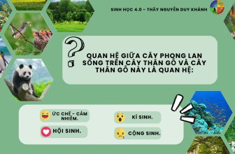 [🆕🇻🇳] SINH HỌC 4.0 – Thầy Nguyễn Duy Khánh 📚 Top1Learn 📕 [ Mỗi ngày một câu lý thuyết ]
#lythuyetsinhhoc #SinhhocthayNguyenDuyKhanh
, shares-0✔️ , likes-80❤️️ , date-2024-04-26 00:33:07🇻🇳🇻🇳🇻🇳📰🆕