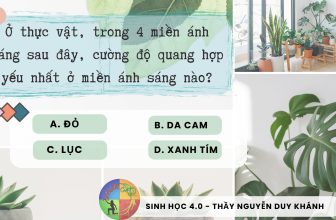 [🆕🇻🇳] SINH HỌC 4.0 – Thầy Nguyễn Duy Khánh 📚 Top1Learn 📕 [ Mỗi ngày một câu lý thuyết ]
#lythuyetsinhhoc #SinhhocthayNguyenDuyKhanh
, shares-2✔️ , likes-44❤️️ , date-2024-04-24 23:00:28🇻🇳🇻🇳🇻🇳📰🆕