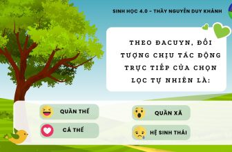 [🆕🇻🇳] SINH HỌC 4.0 – Thầy Nguyễn Duy Khánh 📚 Top1Learn 📕 [ Mỗi ngày một câu lý thuyết ]
#lythuyetsinhhoc #SinhhocthayNguyenDuyKhanh
, shares-1✔️ , likes-132❤️️ , date-2024-04-24 01:35:36🇻🇳🇻🇳🇻🇳📰🆕
