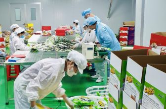 [🆕🇻🇳] Đồ ăn vặt ALACO chuyên chân gà, cánh gà, cá cơm ăn liền hot-trend của giới trẻ 🍔 Top1Food  🍜 ALACO luôn sẵn hàng phục vụ quý đối tác:
– Chân gà tê cay 35g/40g/50g/chân đôi 65g
– Chân gà rút xương vị truyền thống / vị cay ngọt
– Cánh gà / tỏi cánh  , shares-0✔️ , likes-2❤️️ , date-2024-05-09 21:38:47🇻🇳🇻🇳🇻🇳📰🆕