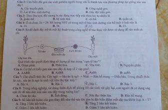 [🆕🇻🇳] SINH HỌC 4.0 – Thầy Nguyễn Duy Khánh 📚 Top1Learn 📕 Đề thi thử môn Sinh học lần 2 của Sở GD&ĐT tỉnh Thanh Hóa năm học 2023 – 2024 để thầy cô và các em tham khảo nhé!
, shares-8✔️ , likes-17❤️️ , date-2024-04-25 23:30:38🇻🇳🇻🇳🇻🇳📰🆕