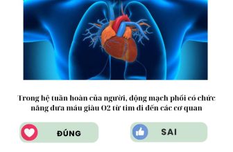 [🆕🇻🇳] SINH HỌC 4.0 – Thầy Nguyễn Duy Khánh 📚 Top1Learn 📕 [ Mỗi ngày một câu lý thuyết ]
#lythuyetsinhhoc #SinhhocthayNguyenDuyKhanh
, shares-1✔️ , likes-156❤️️ , date-2024-05-03 12:00:34🇻🇳🇻🇳🇻🇳📰🆕