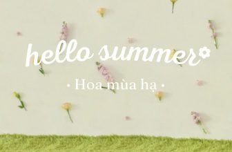 [🆕🇻🇳] EMBES là thương hiệu thời trang “Việt made” chất lượng cao dành cho trẻ em 🧑‍🧒❤️️👶⭐️  𝐍𝐄𝐖 𝐂𝐎𝐋𝐋𝐄𝐂𝐓𝐈𝐎𝐍: 𝐇𝐄𝐋𝐋𝐎 𝐒𝐔𝐌𝐌𝐄𝐑Chào đón mùa hè rực rỡ bằng những thiết kế hoa cỏ ngọt ngào và dễ thương từ 𝑩𝑺𝑻 𝑯𝒆𝒍𝒍𝒐 𝑺𝒖𝒎𝒎𝒆𝒓 của Embes mẹ ơi!𝐇𝐄𝐋𝐋𝐎 𝐒𝐔𝐌𝐌𝐄 , shares-9✔️ , likes-97❤️️ , date-2024-05-07 21:23:27🇻🇳🇻🇳🇻🇳📰🆕