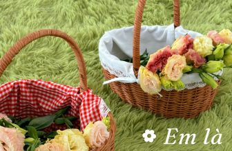 [🆕🇻🇳] EMBES là thương hiệu thời trang “Việt made” chất lượng cao dành cho trẻ em 🧑‍🧒❤️️👶⭐️ 𝐄𝐌 𝐋𝐀̀ 𝐇𝐎𝐀 𝐂𝐔̉𝐀 𝐌𝐄̣Để có những bông hoa rực rỡ khoe sắc thì chúng cần được chăm bón, tưới nước mỗi ngày. Việc chăm một em bé cũng như vậy, để đổi lấy đư , shares-2✔️ , likes-24❤️️ , date-2024-05-06 15:35:28🇻🇳🇻🇳🇻🇳📰🆕