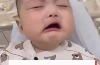 [🆕🇻🇳] TokyoLife – Hàng tiêu dùng chính hãng Nhật Bản và Thời trang thông minh 👕 Top1Fashion 👗  Phải xin vía dễ ngủ của hội không răng này thôi  – TokyoLife chia sẻ –
, shares-0✔️ , likes-10❤️️ , date-2024-07-09 03:30:41🇻🇳🇻🇳🇻🇳📰🆕