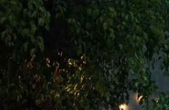 [☕️🇻🇳] 𝐋𝐚 𝐑𝐞̂𝐯𝐞𝐮𝐬𝐞🥤 Top1Coffee ☕️ Chiều nay mưa, cẩn thận đừng để mắc mưa.. tìm chỗ trú, tanh rồi hẵng đi. #mơ #sadec
, shares-0✔️ , likes-0❤️️ , date-2024-06-20 21:50:17🇻🇳🇻🇳🇻🇳📰🆕