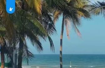 [🆕🇻🇳] Traveloka Vietnam – Nền tảng du lịch hàng đầu Đông Nam Á ♥️️ Top1Checkin ☑  #TravelokaKhamPha Mùa hè tươi đẹp ở Đà Nẵng
Nguồn: hyhan.22
#ĐiDuLịchĐặtTraveloka #DiDuLichDatTraveloka #ThinkTravelThinkTraveloka #TravelokaVN
#Travelo , shares-0✔️ , likes-0❤️️ , date-2024-06-04 00:01:12🇻🇳🇻🇳🇻🇳📰🆕