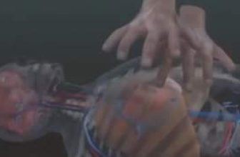 [🆕🇻🇳] YOGA NHÀ CHUNG – Giải pháp chăm sóc sức khỏe chủ động 🧘 Top1Yoga 🧘 Nhìn điều này mỗi ngày, biết đâu 1 ngày nào đó sẽ có người được cứu sống bởi bàn tay của bạn
, shares-0✔️ , likes-0❤️️ , date-2024-06-17 23:06:02🇻🇳🇻🇳🇻🇳📰🆕