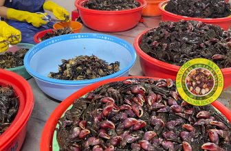 [🆕🇻🇳] BÀ NA FOOD – ĐẶC SẢN CÀ MAU 🍔 Top1Food 🍜 Có những ngày không có ba khía chắc thịt để tách trộn shop em chấp nhận nợ đơn chứ tuyệt đối không giao ba khía ốp thịt. Chỉ với #120k khách nhà em luôn đư , shares-0✔️ , likes-11❤️️ , date-2024-05-08 14:55:27🇻🇳🇻🇳🇻🇳📰🆕