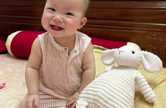[🆕🇻🇳]  Jami Baby Store – Chuyên hàng body xuất dư trẻ em Carter, Geo, Old Navy chuẩn 100% 🧑‍🧒❤️️👶⭐️ Nụ cười em giờ là nắng cho ai thêm mơ màng
#bodydui #bodyduijami
, shares-0✔️ , likes-8❤️️ , date-2024-06-01 02:57:39🇻🇳🇻🇳🇻🇳📰🆕