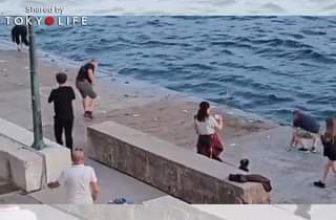 [🆕🇻🇳] TokyoLife – Hàng tiêu dùng chính hãng Nhật Bản và Thời trang thông minh 👕 Top1Fashion 👗  TokyoRelax| Mọi người cùng hợp sức giải cứu, đưa đàn cá trở về biển cả
Nguồn: HumansBeingBros
TokyoLife chia sẻ
, shares-0✔️ , likes-8❤️️ , date-2024-07-09 03:15:14🇻🇳🇻🇳🇻🇳📰🆕