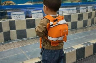 [🆕🇻🇳] Lạc BabyClothing 😎❤️️⭐️ Mẹ hứa nghỉ hè cho đi thủy cung chơi
Thủy cung của mẹ:
, shares-0✔️ , likes-19❤️️ , date-2024-05-28 22:40:21🇻🇳🇻🇳🇻🇳📰🆕