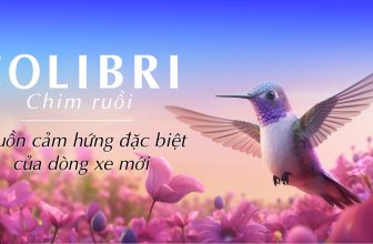 [🆕🇻🇳] SYM Vietnam 🚗 Top1Go 🏍️  𝑪𝒉𝒊𝒎 𝑹𝒖𝒐̂̀𝒊: Mệnh danh Nữ thần rừng – Biểu tượng cho sự linh hoạt, uyển chuyển và tốc độBạn đã bao giờ say mê ngắm nhìn những chú chim ruồi với bộ cánh  , shares-34✔️ , likes-2K❤️️ , date-2024-06-02 01:00:19🇻🇳🇻🇳🇻🇳📰🆕