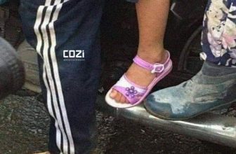 [🆕🇻🇳] Pluto Kids – Sỉ, lẻ Qate 😎❤️️⭐️ Một bức ảnh xúc động vì chứa đựng nhiều sự yêu thương
, shares-0✔️ , likes-5❤️️ , date-2024-05-25 16:21:25🇻🇳🇻🇳🇻🇳📰🆕