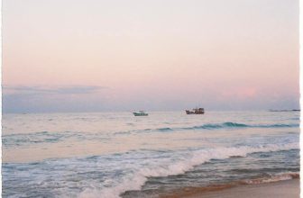 [🆕🇻🇳] Check in Vietnam – Cùng nhau trải nghiệm và và khám phá Việt Nam ♥️️ Top1Checkin ☑  Nói về vẻ đẹp của Phú Yên thì chỉ cần 2 từ thôi: ngất ngây  Thực sự là góc nào Xứ Nẫu cũng đẹp và “tình” lắm ý   Ảnh xinh của bạn Nguyễn Bích Ngọc trong gr , shares-43✔️ , likes-19K❤️️ , date-2024-05-29 15:31:42🇻🇳🇻🇳🇻🇳📰🆕