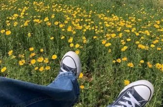 [🆕🇻🇳] MADELEN By LEN – Dành cho những cô nàng thích sự thời thượng đa phong cách 👕 Top1Fashion 👗  “Tìm cho mình một không gian, bật bài nhạc làm em chill
Tâm hồn em, phiêu dạt theo áng mây bên trời”
Photo: A moment in time
#Madelen #weekendvibes
, shares-0✔️ , likes-24❤️️ , date-2024-05-23 14:23:19🇻🇳🇻🇳🇻🇳📰🆕