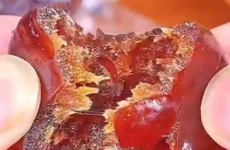 [🆕🇻🇳] Khoai Lang Sấy Dẻo Loại 1 Đà Lạt 🍔 Top1Food  🍜  Táo Sấy Dẻo Không Hạt Loại 1
– Thơm ngon mền dẻo tự nhiên 100%
TÁO SẤY DẺO THÁI LAN ĐÃ TÁCH HẠT – Táo sấy dẻo dẻo, từng trái táo đẹp đẽ không bị nát, mù , shares-0✔️ , likes-23❤️️ , date-2024-06-19 03:51:06🇻🇳🇻🇳🇻🇳📰🆕