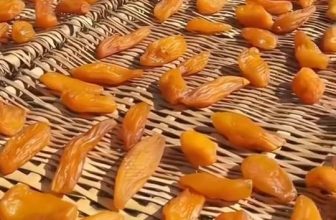 [🆕🇻🇳] Khoai Lang Sấy Dẻo Loại 1 Đà Lạt 🍔 Top1Food  🍜  Khoai Lang Sấy Dẻo Nguyên Củ – Ngon Từ Thiên Nhiên
– Thưởng thức Khoai Lang Sấy Dẻo Nguyên Củ  với vị ngọt tự nhiên, giàu vitamin và chất xơ
– Khoai tự  , shares-3✔️ , likes-166❤️️ , date-2024-06-19 04:11:06🇻🇳🇻🇳🇻🇳📰🆕