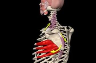 [🆕🇻🇳] YOGA NHÀ CHUNG – Giải pháp chăm sóc sức khỏe chủ động 🧘 Top1Yoga 🧘 Khám phá thêm trong Video
, shares-0✔️ , likes-3❤️️ , date-2024-06-23 11:07:40🇻🇳🇻🇳🇻🇳📰🆕