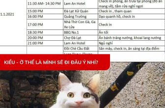 [🆕🇻🇳] Check in Vietnam – Cùng nhau trải nghiệm và và khám phá Việt Nam ♥️️ Top1Checkin ☑  Nhóm bạn nào cũng có 2 kiểu người mỗi khi đi du lịch. Tag ngay đứa bạn vào xem nó là kiểu this hay kiểu that nhé  Dù là kiểu nào đi nữa thì đừng bỏ lỡ cơ h , shares-13✔️ , likes-3K❤️️ , date-2024-05-30 13:00:15🇻🇳🇻🇳🇻🇳📰🆕