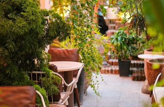 [☕️🇻🇳] Oromia Coffee – Lounge🥤 Top1Coffee ☕️ Khu vườn chăm bẵm bấy lâu, nay nhìn xanh mướt mát tự dưng cảm giác thành tựu ghê gớm mn ạ
Mời khách ghé thăm góc vườn xinh, tụ , shares-1✔️ , likes-17❤️️ , date-2024-06-13 00:54:35🇻🇳🇻🇳🇻🇳📰🆕