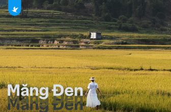 [🆕🇻🇳] Traveloka Vietnam – Nền tảng du lịch hàng đầu Đông Nam Á ♥️️ Top1Checkin ☑  #TravelokaKhamPha HƯỚNG DẪN SỬ DỤNG MÙA HÈ Ở MĂNG ĐENĐI DU LỊCH, ĐẶT TRAVELOKA
CHÀO BẠN MỚI  ƯU ĐÃI ĐẾN 1.5 TRIỆU TOÀN SÀN
Đa dạng lựa chọn
Đặt dễ , shares-20✔️ , likes-270❤️️ , date-2024-06-06 02:00:07🇻🇳🇻🇳🇻🇳📰🆕