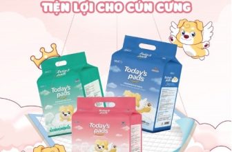 [🆕🇻🇳] Pettysoc Đồ Cho Thú Cưng 🐶🦜 Top1Pets 🐱🐠 MIẾNG LÓT VỆ SINH CHO THÚ CƯNG TODAY’S PADƯu điểm sản phẩm:Thấm hút vượt trội với lớp SAP
Chống tràn tuyệt đối với lớp nền Polyethylene
Khử mùi hôi hiệ , shares-0✔️ , likes-0❤️️ , date-2024-06-16 15:41:44🐶🐱🇻🇳🇻🇳🇻🇳📰🆕