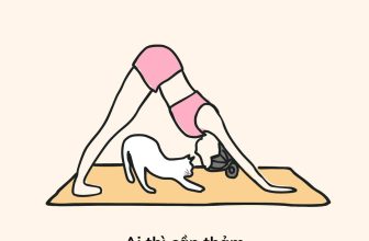 [🆕🇻🇳] YogaVietnam.vn 🧘 Top1Yoga 🤸🏻‍♀️ Alo shop có thảm chống mèo cào không?
, shares-0✔️ , likes-16❤️️ , date-2024-06-24 11:30:13🇻🇳🇻🇳🇻🇳📰🆕