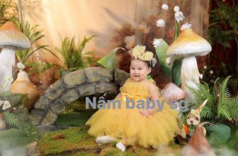 [🆕🇻🇳] Nấm baby SG – Thiết kế và may đầm công chúa 🧑‍🧒❤️️👶⭐️ U Me cái sự đang iu này
, shares-0✔️ , likes-8❤️️ , date-2024-06-15 13:52:23🇻🇳🇻🇳🇻🇳📰🆕