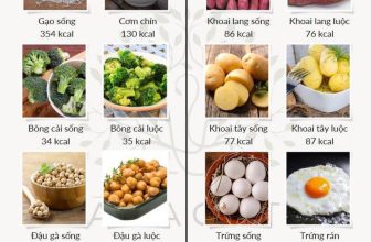 [🆕🇻🇳] Paragate Yoga & Pilates 🧘 Top1Yoga 🤸🏻‍♀️ Cùng kiểm tra và so sánh mức độ calo trong những món ăn hàng ngày để giữ một body thật chuẩn và đẹp
—-
Pāragate sẵn sàng đồng hành cùng bạn trên chặng đư , shares-0✔️ , likes-2❤️️ , date-2024-06-15 01:12:42🇻🇳🇻🇳🇻🇳📰🆕