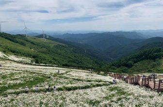 [🆕🇻🇳] Checkin và Du lịch Hàn Quốc – Korea Travel ♥️️ Top1Checkin ☑  𝐂𝐚́𝐧𝐡 đ𝐨̂̀𝐧𝐠 𝐡𝐨𝐚 𝐜𝐮́𝐜 𝐒𝐡𝐚𝐬𝐭𝐚 𝐝𝐚𝐢𝐬𝐲 (샤스타데이지) 𝐧𝐨̛̉ 𝐫𝐨̣̂ 𝐭𝐚̣𝐢 𝐧𝐮́𝐢 𝐂𝐡𝐞𝐨𝐧𝐠𝐨𝐤, 𝐡𝐮𝐲𝐞̣̂𝐧 𝐏𝐲𝐞𝐨𝐧𝐠𝐜𝐡𝐚𝐧𝐠, 𝐭𝐢̉𝐧𝐡 𝐆𝐚𝐧𝐠𝐰𝐨𝐧.
Ngọn đồi này cao 1.250m so với mức nướ , shares-0✔️ , likes-7❤️️ , date-2024-06-21 20:39:11🇻🇳🇻🇳🇻🇳📰🆕