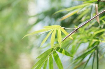 [☕️🇻🇳] OiA Coffee 🥤 Top1Coffee ☕️ Tạm biệt Tháng Sáu  Phút nghỉ ngơi đã có ly cà phê tiếp thêm năng lượng tươi mát cho bạn với bộ đôi món mới có mặt tại Seasonal  , shares-0✔️ , likes-4❤️️ , date-2024-06-30 13:24:02🇻🇳🇻🇳🇻🇳📰🆕