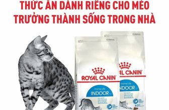 [🆕🇻🇳] Pettysoc Đồ Cho Thú Cưng 🐶🦜 Top1Pets 🐱🐠 THỨC ĂN CHO MÈO ROYAL CANIN INDOOR 27 (Mèo trên 12 tháng tuổi)Thức ăn dành cho mèo sống trong nhà có lối sống ít vận động, nhu cầu năng lượng thấp hơn và , shares-0✔️ , likes-0❤️️ , date-2024-07-04 18:32:42🐶🐱🇻🇳🇻🇳🇻🇳📰🆕