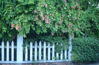 [☕️🇻🇳] PHD Book – Coffee 🥤 Top1Coffee ☕️ Mai 19.06.24 quán Nghỉ bạn nhé.
Mốt mở lại bình thường.
CẢM ƠN BẠN!
, shares-0✔️ , likes-27❤️️ , date-2024-06-17 22:04:15🇻🇳🇻🇳🇻🇳📰🆕