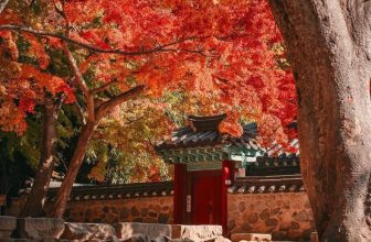 [🆕🇻🇳] Checkin và Du lịch Hàn Quốc – Korea Travel ♥️️ Top1Checkin ☑   𝐆 𝐲 𝐞 𝐨 𝐧 𝐠 𝐣 𝐮 (경주)
𝐂𝐚̉𝐧𝐡 𝐬𝐚̆́𝐜 𝐦𝐮̀𝐚 𝐭𝐡𝐮 𝐭𝐮𝐲𝐞̣̂𝐭 đ𝐞̣𝐩 𝐨̛̉ 𝐜𝐡𝐮̀𝐚 𝐁𝐮𝐥𝐠𝐮𝐤𝐬𝐚
Chùa Bulguksa (불국사) – chùa Phật Quốc, xây dựng từ thời Silla , là quốc bảo củ , shares-0✔️ , likes-7❤️️ , date-2024-06-26 16:38:06🇻🇳🇻🇳🇻🇳📰🆕