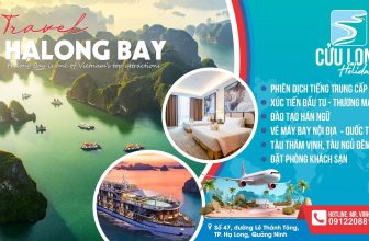 [☕️🇻🇳] Nam Phong Coffee – Tea🥤 Top1Coffee ☕️  , shares-0✔️ , likes-2❤️️ , date-2024-06-24 23:41:22🇻🇳🇻🇳🇻🇳📰🆕