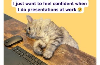 [🆕🇻🇳] British Council Vietnam English 📚 Top1Learn 📕 Thuyết trình bằng tiếng Anh có thể là một trong những phần khó khăn nhất trong công việc. Chúng tôi hoàn toàn hiểu cảm giác của bạn!
Đây là lĩnh vực các  , shares-0✔️ , likes-14❤️️ , date-2024-06-23 01:00:10🇻🇳🇻🇳🇻🇳📰🆕