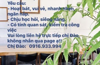 [☕️🇻🇳] Mai Cafe- Cà phê, nước uống và bánh ngọt 🥤 Top1Coffee ☕️ MAI CAFE TUYỂN DỤNG:
1 nhân viên phục vụ NAM
Làm ca cố định từ 14:00 – 22:00
Yêu cầu:
– Hoạt bát, vui vẻ, nhanh nhẹn, ngăn  , shares-1✔️ , likes-5❤️️ , date-2024-06-23 18:34:29🇻🇳🇻🇳🇻🇳📰🆕