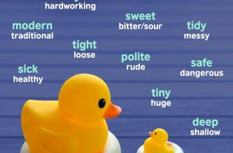 [🆕🇻🇳] British Council Vietnam English 📚 Top1Learn 📕 Are you ready for a small exercise? We promise you won’t pant or sweat with just 5 minutes of brain gym
Here are some adjectives we have paired with wor , shares-4✔️ , likes-20❤️️ , date-2024-06-28 01:00:11🇻🇳🇻🇳🇻🇳📰🆕