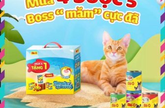 [🆕🇻🇳] Pettysoc Đồ Cho Thú Cưng 🐶🦜 Top1Pets 🐱🐠 𝐌𝐔𝐀 𝟒 𝐓𝐀̣̆𝐍𝐆 𝟏 𝐏𝐚𝐭𝐞 𝐌𝐞-𝐎 𝟒𝟎𝟎𝐠 𝐝𝐚̀𝐧𝐡 𝐜𝐡𝐨 𝐦𝐞̀𝐨
PATE ME-O LON 400G: 𝐌𝐔𝐀 𝟒 Đ𝐔̛𝐎̛̣𝐂 𝟓!!!
Được làm từ những thớ cá tươi thơm ngon
Pate Me-O bổ sung Taurine c , shares-0✔️ , likes-0❤️️ , date-2024-06-26 15:20:31🐶🐱🇻🇳🇻🇳🇻🇳📰🆕