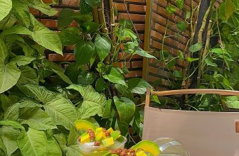 [☕️🇻🇳] Hemo Coffee – Bến Tre 🥤 Top1Coffee ☕️ Uống Kem Bơ, lấy năng lượng làm bài cho Bơ Phéc  Bơ đang vào mùa ngon nhất cũng là lúc các bạn sĩ tử chuẩn bị hành trang bước và , shares-0✔️ , likes-8❤️️ , date-2024-06-24 13:08:55🇻🇳🇻🇳🇻🇳📰🆕