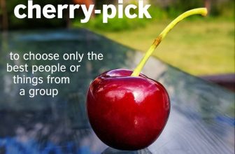 [🆕🇻🇳] British Council Vietnam English 📚 Top1Learn 📕  You may know the fruit cherry, but do you know the expression ‘cherry-pick’?
To cherry-pick means to choose only the best! Do you always cherry-pick eve , shares-0✔️ , likes-13❤️️ , date-2024-06-25 01:00:16🇻🇳🇻🇳🇻🇳📰🆕
