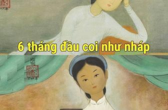 [🆕🇻🇳] Đồ Bộ Vải Lanh Sỉ Lẻ  👕 Top1Fashion 👗  Em xé nháp thôi ạ
Nguồn: st
, shares-0✔️ , likes-1❤️️ , date-2024-07-01 13:00:02🇻🇳🇻🇳🇻🇳📰🆕